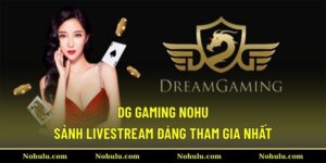 DG Gaming Nohu