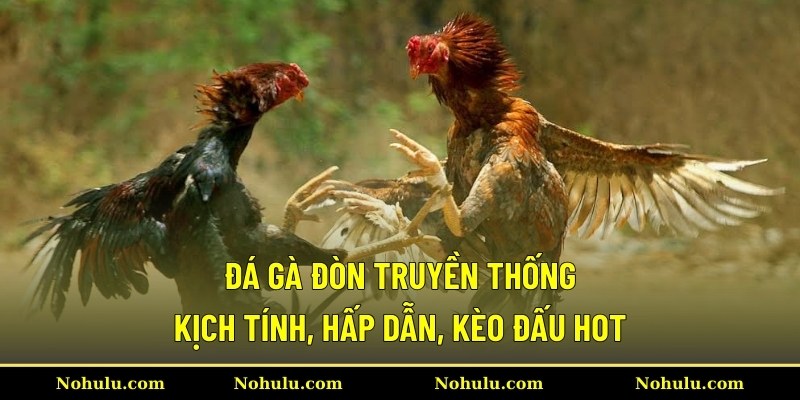 Đá Gà Đòn Truyền Thống