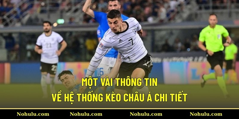 Một vài thông tin về hệ thống kèo châu Á chi tiết