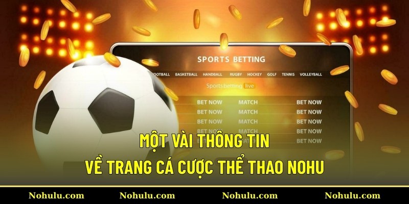 Một vài thông tin về trang cá cược thể thao Nohu
