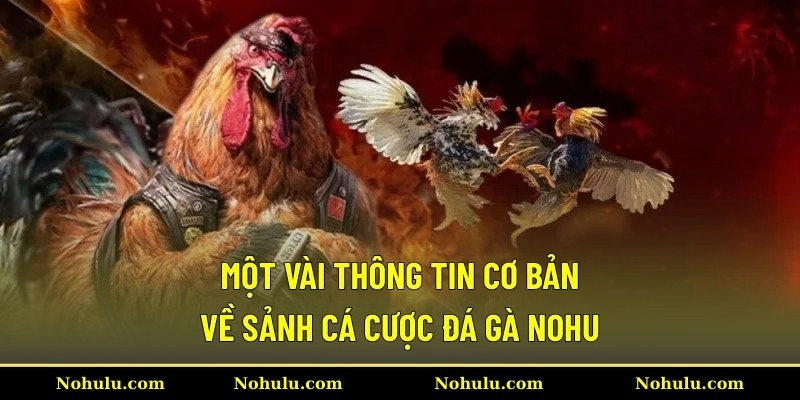 Một vài thông tin cơ bản về sảnh cá cược đá gà Nohu
