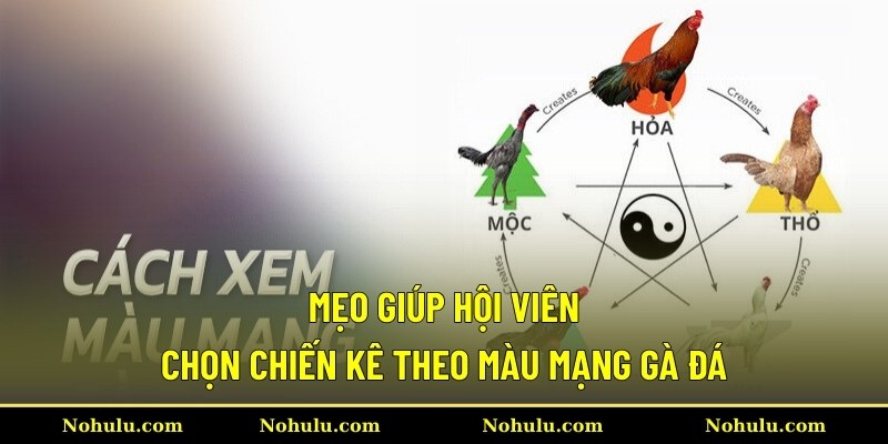 Mẹo giúp hội viên chọn chiến kê theo màu mạng gà đá