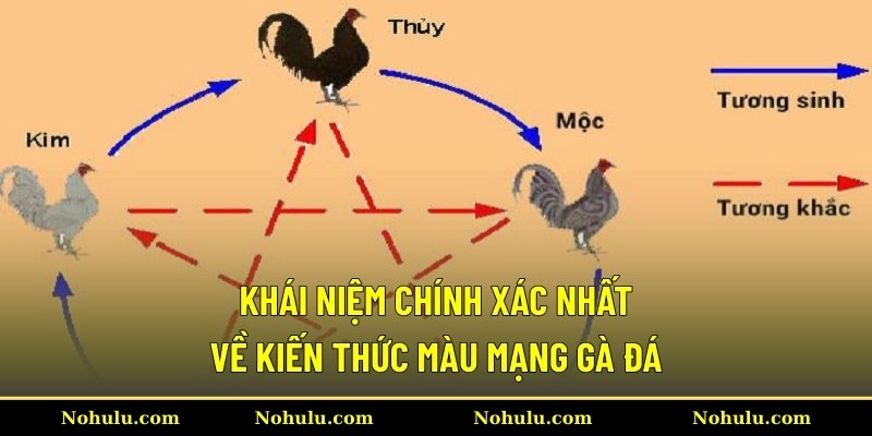 Khái niệm chính xác nhất về kiến thức màu mạng gà đá