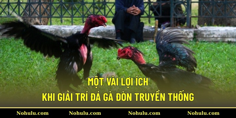 Một vài lợi ích khi giải trí đá gà đòn truyền thống