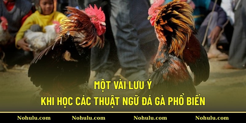 Một vài lưu ý khi học các thuật ngữ đá gà phổ biến