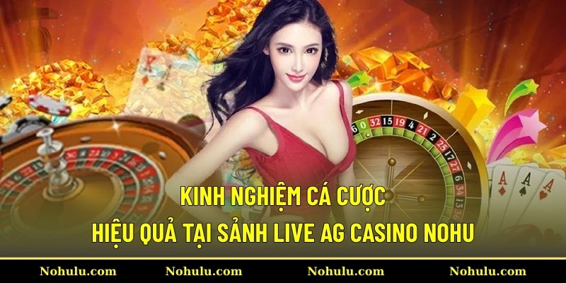 Kinh nghiệm cá cược hiệu quả tại sảnh live AG casino Nohu