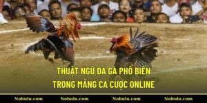 Thuật Ngữ Đá Gà Phổ Biến